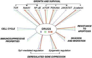 Schematic representation of the major oncogenic signaling pathways and... | Download Scientific ...