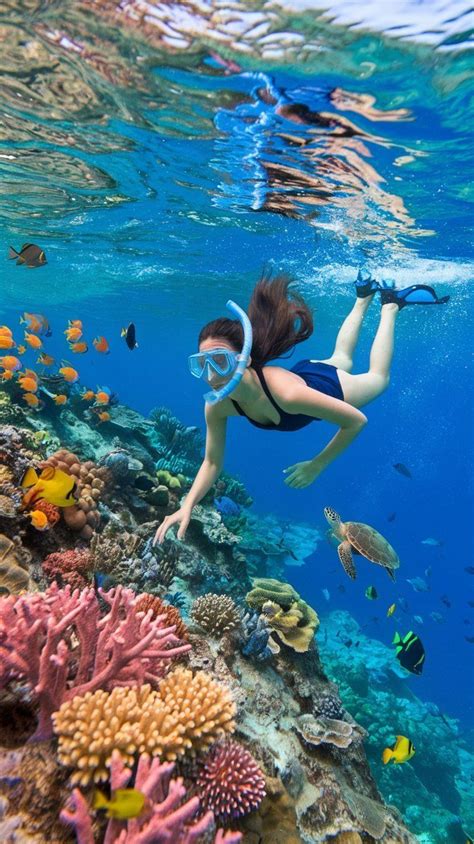 coral reefs photography snorkeling photography underwater beauties