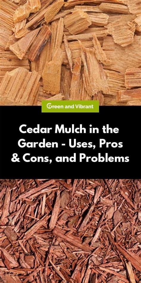 Cedar Mulch For Vegetable Garden