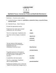 Lab 3 Histology post lab answer key 2010-2011 1 .doc - LABORATORY 3 ...
