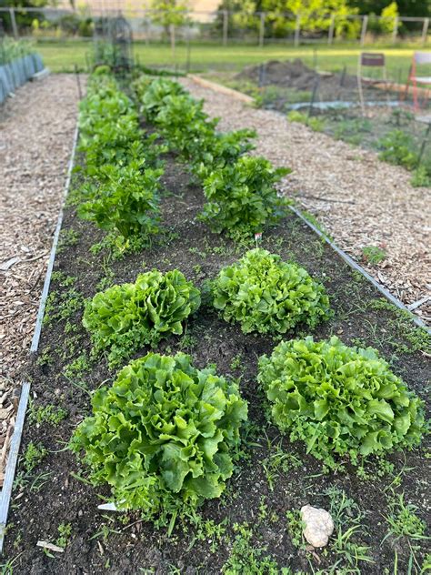Eatontown Community Garden | Eatontown NJ