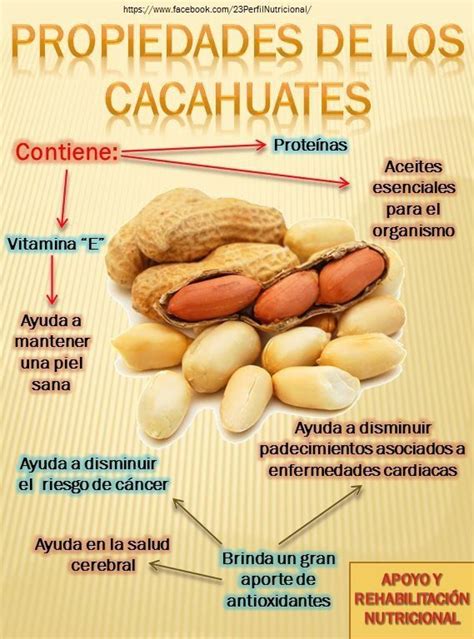 Incre Ble Sab As Que El Cacahuate Te Aporta Casi Todos Los Nutrientes