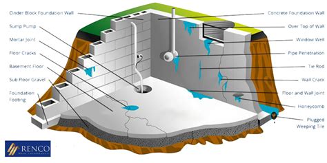 My Basement Is Leaking From The Floor – Flooring Guide by Cinvex