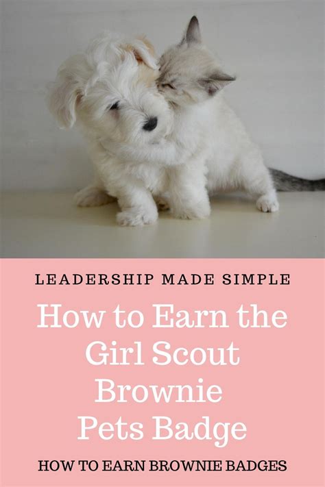 How To Earn Brownie Badges How To Earn The Girl Scout Brownie Pets