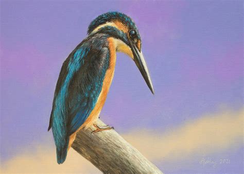 Ashley Davies Kingfisher Original Realism Wildlife Birds Oil Painting