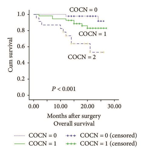 Kaplanmeier Survival Curves For Overall Survival Os And Disease Free Download Scientific