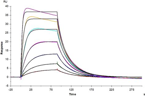 Recombinant Mouse Gm Csf Protein Absin