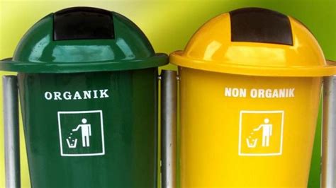 Gambar Sampah Organik Dan Anorganik – pulp