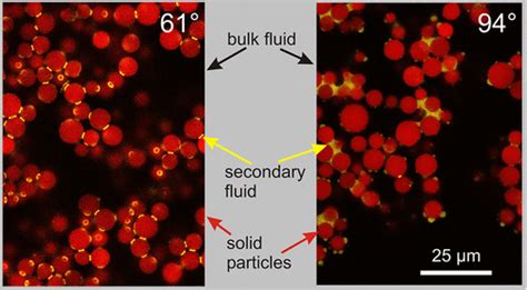 Structure Of Particle Networks In Capillary Suspensions With Wetting