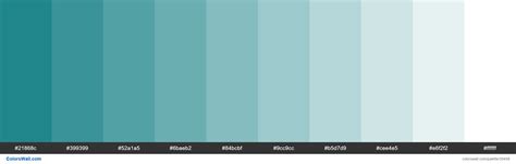 black  white note teal color hexadecimal