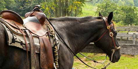 english  western saddles whats  difference insider horse