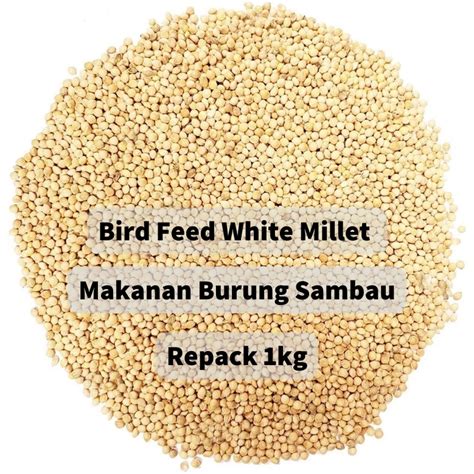 Bird Feed White Millet Makanan Burung Sambau 1kg Repack Shopee Malaysia