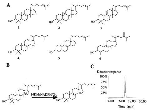 Characterization And Catalytic Properties Of The Sterol Demethylase