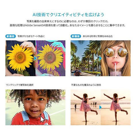 アドビ Adobe Photoshop Premiere Elements 2023Windows版 Windowsソフト