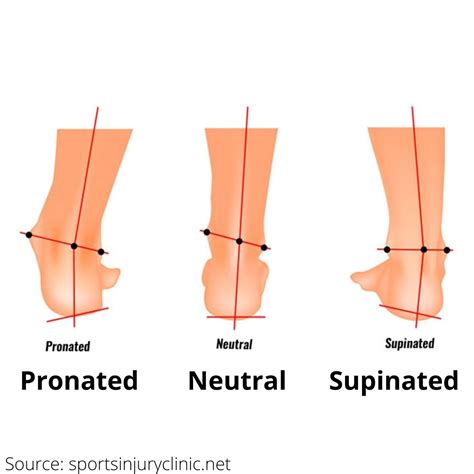 Feet Pronation And Supination Vlr Eng Br