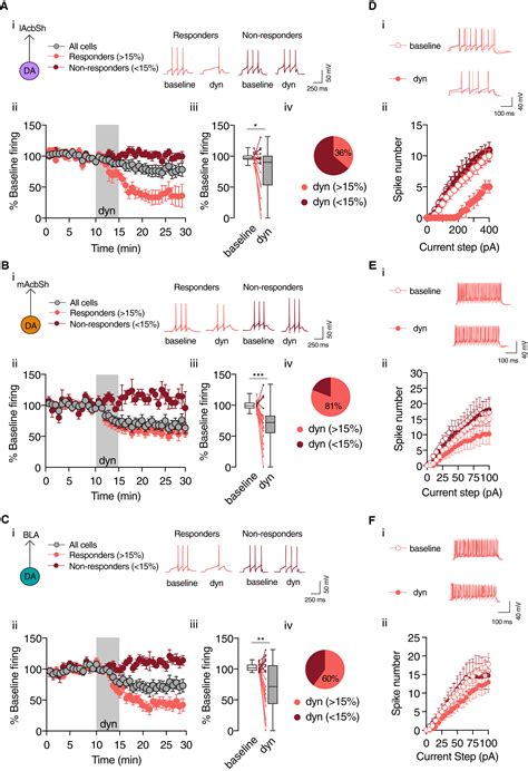 Projection Target Defined Effects Of Orexin And Dynorphin On Vta