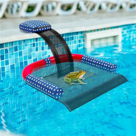 Animal Saving Escape Ramp With Pool Surface Skimmer Catcher