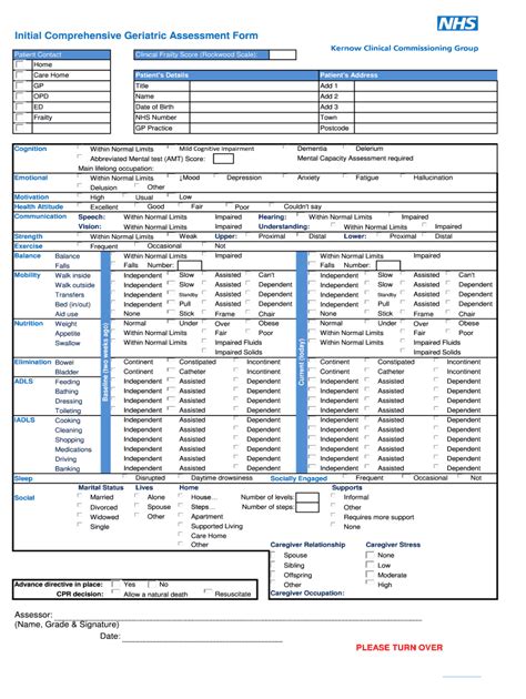 Comprehensive geriatric assessment pdf: Fill out & sign online | DocHub