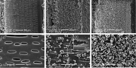 In Situ Deposition Of MOF199 Onto Hierarchical Structures Of Bamboo And