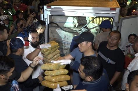 Ton Lebih Ganja Asal Aceh Diamankan Dari Mobil Boks Di Medan