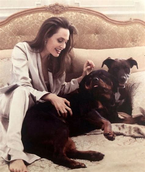 Best Of Angelina Jolie On Twitter Angelina Jolie Angelina Angelina