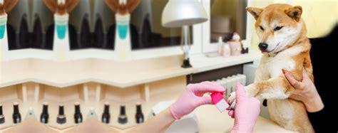 The Nail Whisperer's Guide