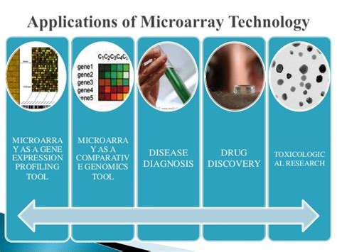 The Four Stages of Microarray Technology in Biology