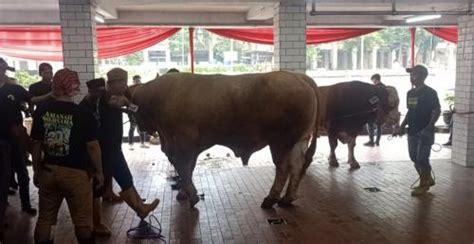 Masjid Istiqlal Lakukan Pemotongan Hewan Kurban Hari Ini Dimulai Dari