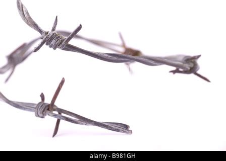 barbed wire barb closeup cutout stock photo alamy
