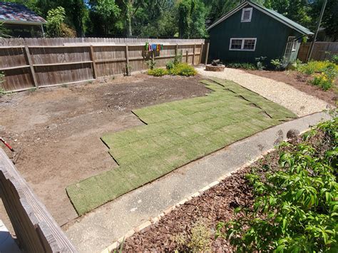 Installing Sod Remember These Ten Tips Gardening In The Panhandle