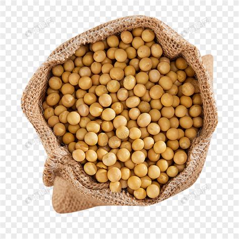 Nutrient Soybean Grain Material Soybeans PNG Image And Clipart Image