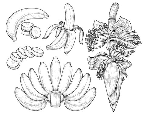 Desenhos De Banana Para Colorir E Imprimir