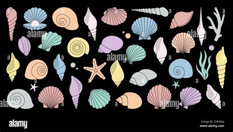 Scallop Sea Shells Tropical Underwater Shells Set Freshwater Algae