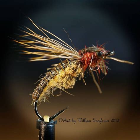 Caddis Emerger Size 16 Fly Fishing Fly Fishing Flies Pattern Fly