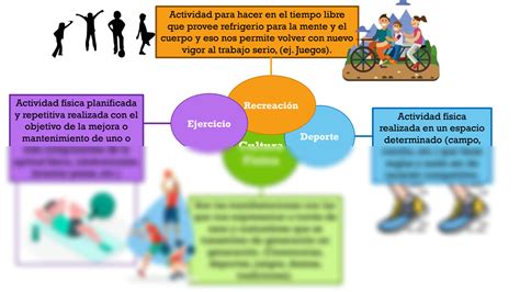 Solution Mapa Mental De Conceptos B Sicos De La Cultura F Sica Con