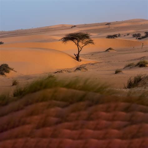 Sahel: Africa’s semi-arid lifeline faces growing challenges - Radar Africa