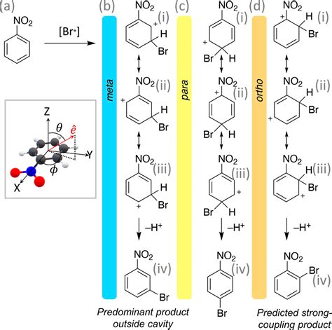 Cavity Quantum Electrodynamics Enables Para And Ortho Selective