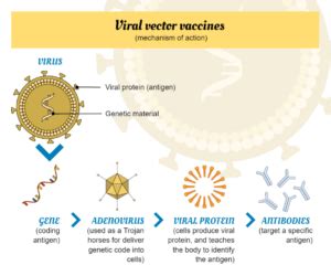 Next-Generation Vaccines: A New Frontier in Disease Control - Mind the ...