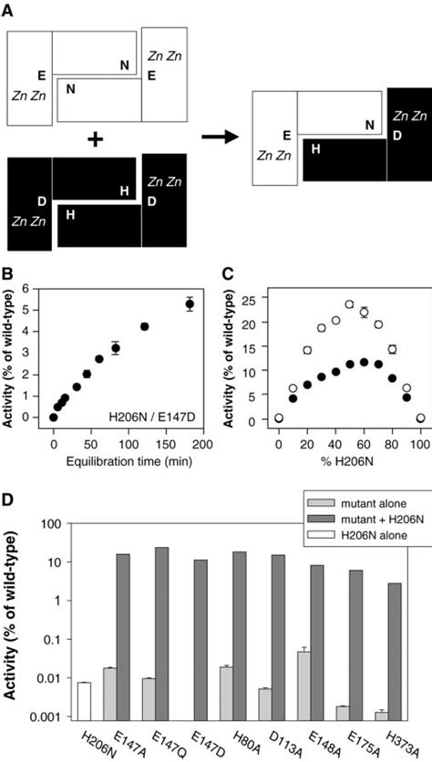 Enzyme Complementation Assay A Schematic Representation Of