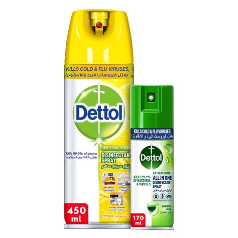 Buy Dettol Citrus Antibacterial All In One Disinfectant Spray 450ml Dettol Morning Dew