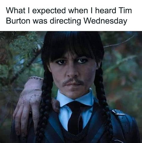 40 Wednesday Addams Memes From The Coolest Netflix Series Bored Panda