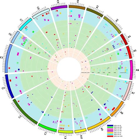 The Genome Wide Distribution Of Epistatic Interactions Identified For