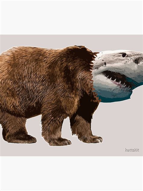 Sharkbear Tapestry For Sale By Kattskit Redbubble