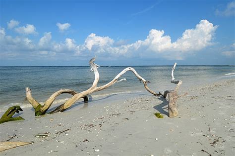 340 Disappearing Island Florida Stock Photos Pictures And Royalty Free