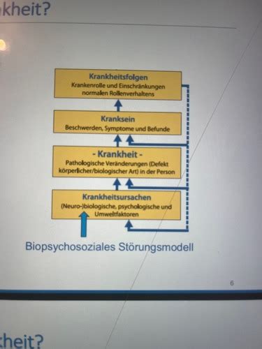 Klassifikatorische Diagnostik Karteikarten Quizlet