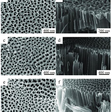 Sem Images Of The Surface And Chips Of The Obtained Samples A B Tio