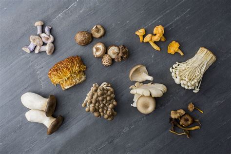 Mushrooms For Kidney Disease Exploring The Natural Path To Kidney