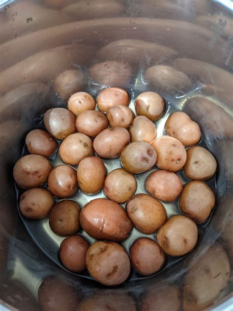 Instant Pot Boiled Small Baby Red Potatoes Mini Potatoes