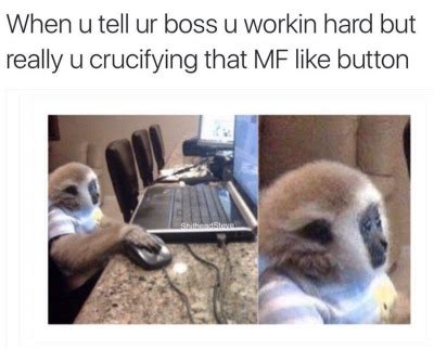 Post 135979660771 Boobasaurus Sex Tumblr Tumbex