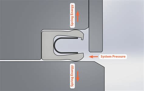 Spring Energized Seals